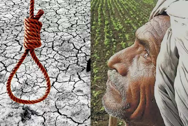 भारत के राष्ट्रीय अपराध रिकॉर्ड ब्यूरो (एनसीआरबी) के आंकड़ों के मुताबिक 2013 में 11,744 किसानों ने आत्महत्या की जबकि 2012 में 13,754 किसानों ने आत्महत्या की थी । 
